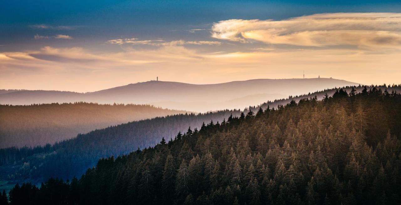 Haberjockelshof Erlebnishof Leilighet Titisee-Neustadt Eksteriør bilde