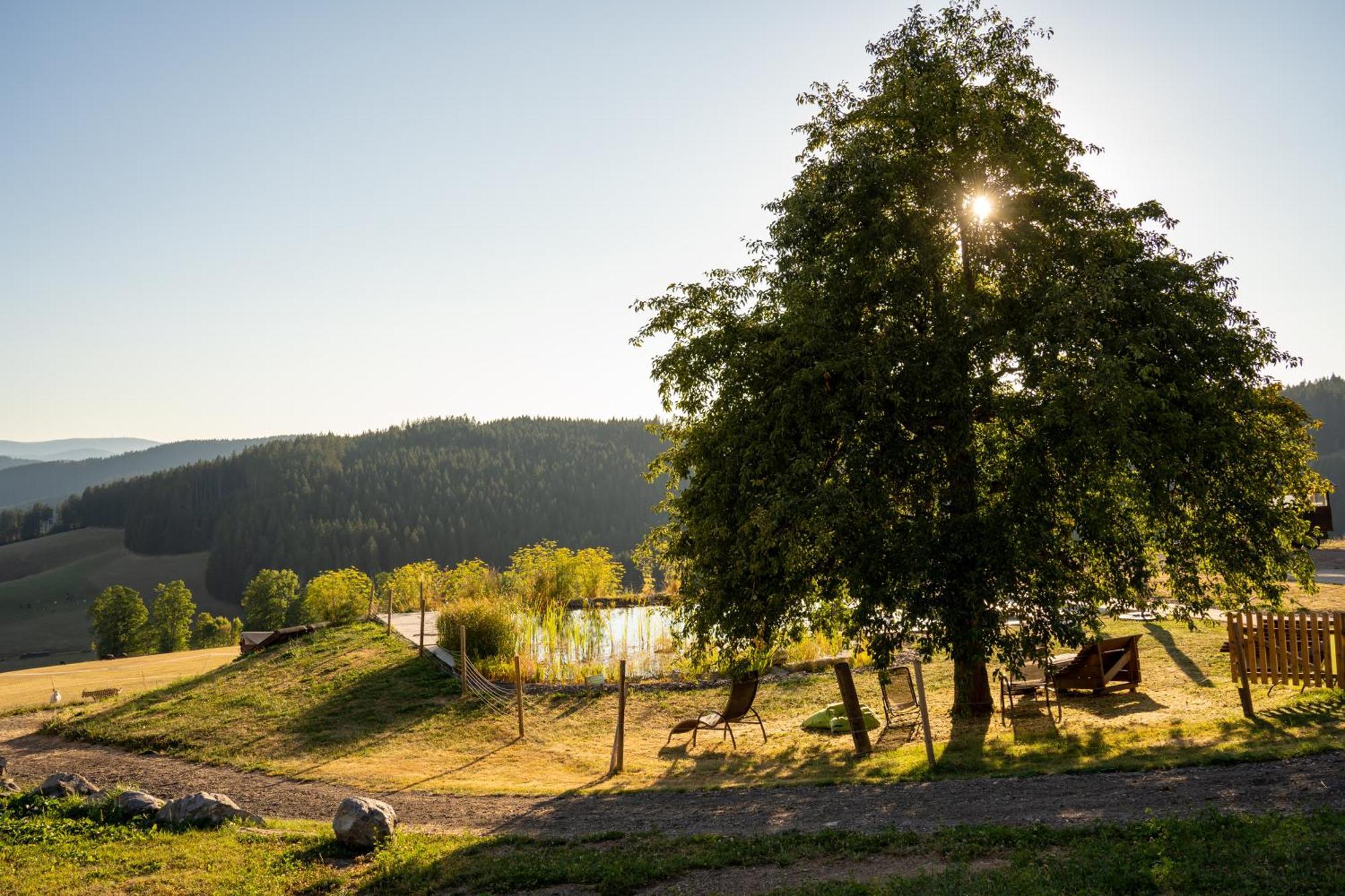 Haberjockelshof Erlebnishof Leilighet Titisee-Neustadt Eksteriør bilde
