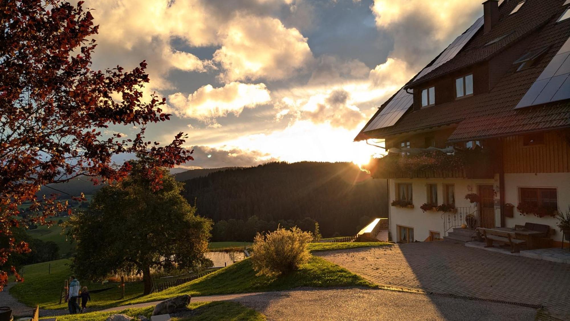 Haberjockelshof Erlebnishof Leilighet Titisee-Neustadt Eksteriør bilde