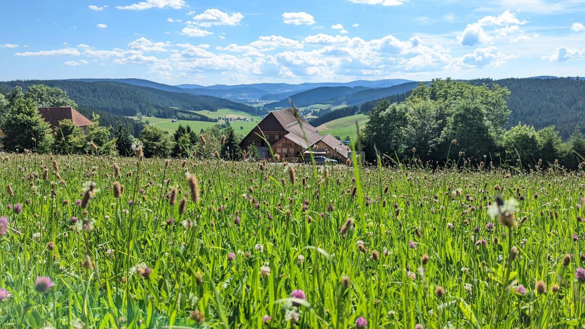 Haberjockelshof Erlebnishof Leilighet Titisee-Neustadt Eksteriør bilde