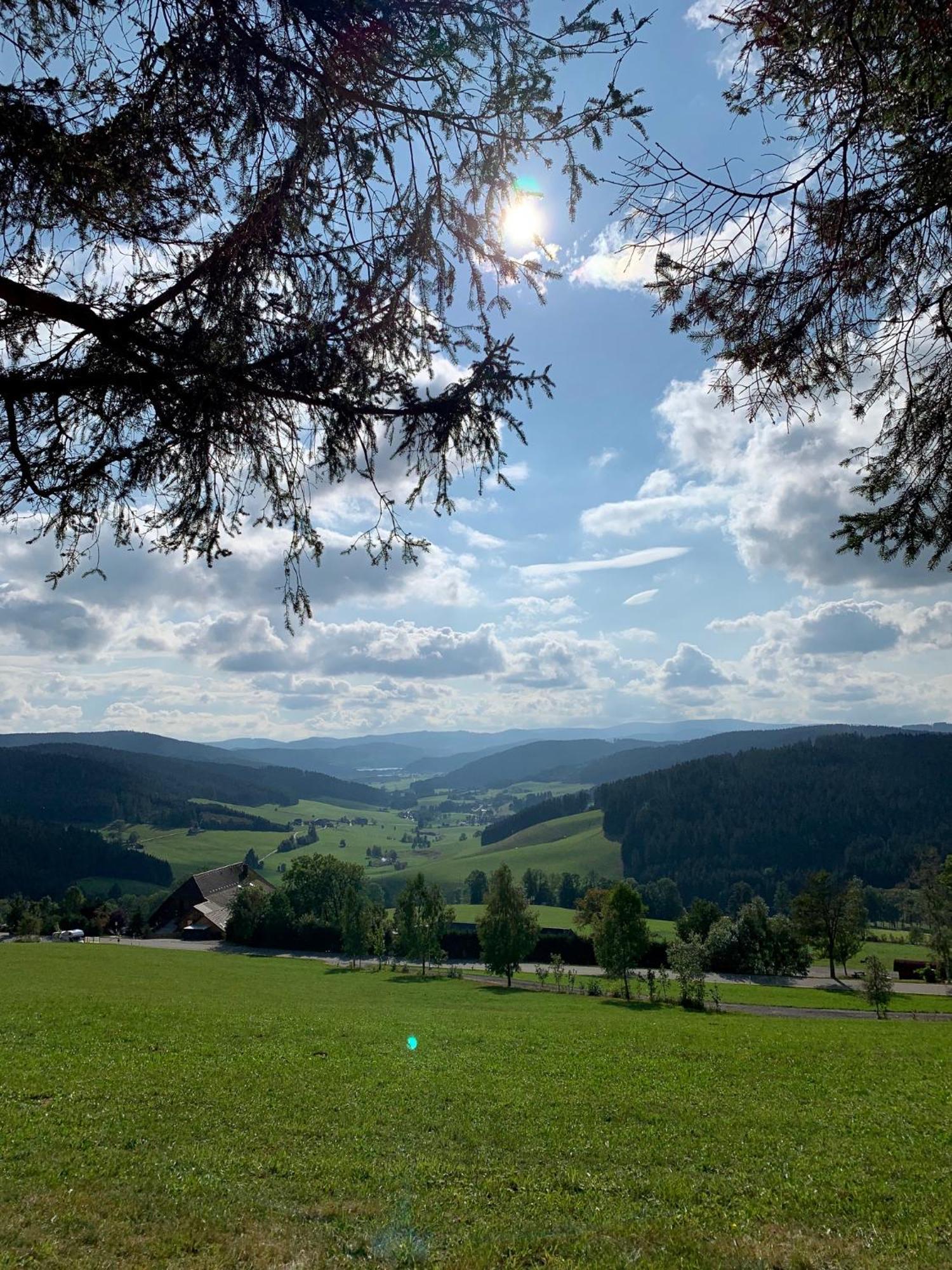 Haberjockelshof Erlebnishof Leilighet Titisee-Neustadt Eksteriør bilde